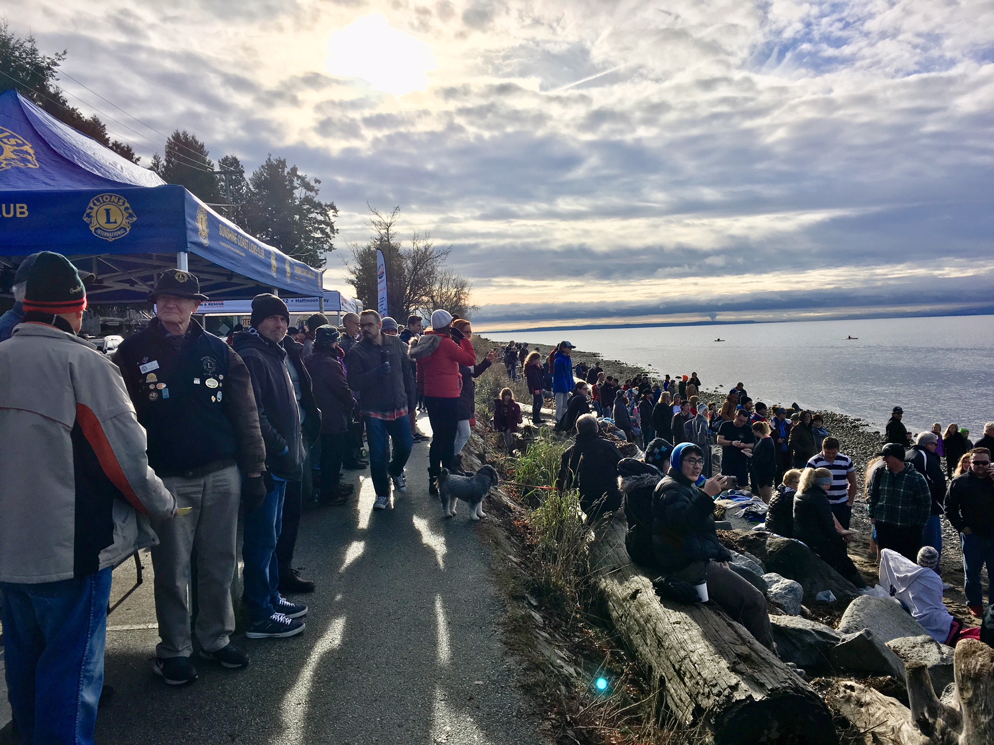 Polar Bear Swim 2018-4